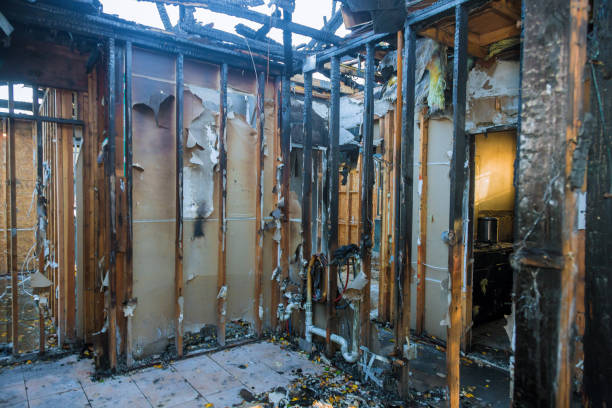 Professional Smoke Damage Removal technician working in Greer, SC